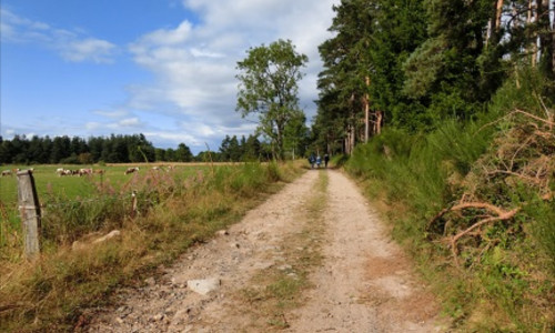 Triades d&rsquo;été